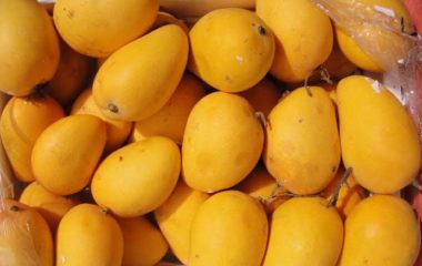 Mango – The King of Fruits and its Health Benefits